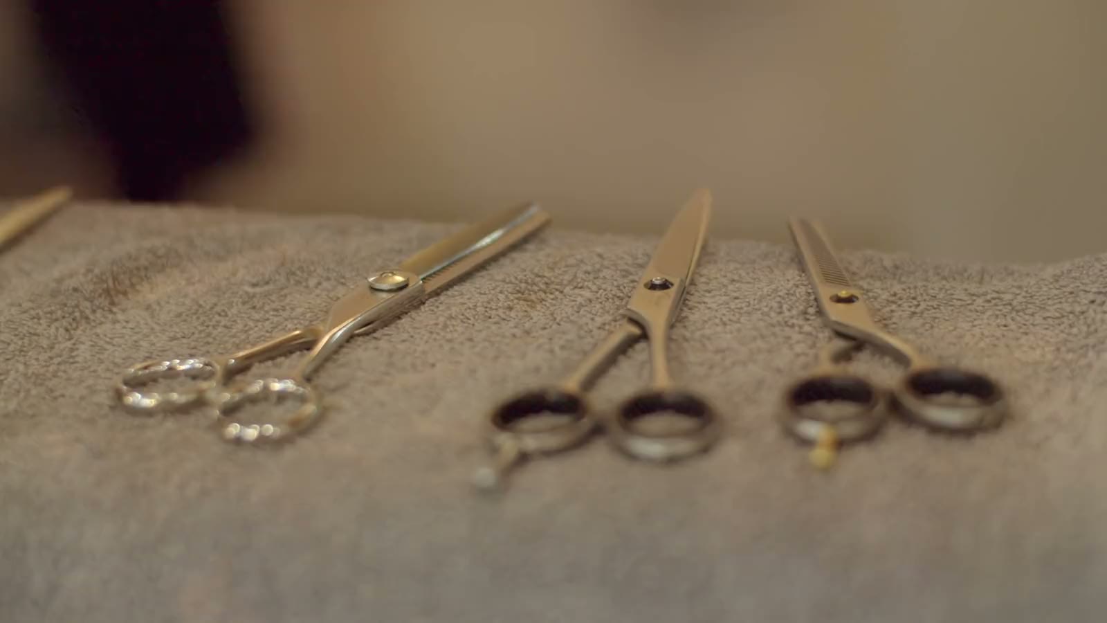 Pairs of scissors laid out on a folded towel